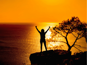 My Well-Being Team Blog - Toxic Load